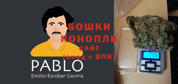 крисы Майский